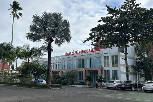 Khởi tố con trai nguyên Tổng Giám đốc Công ty Cao su Đắk Lắk về tội rửa tiền