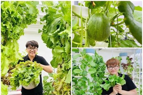 Biệt thự sân vườn triệu đô của 'MC giàu nhất Việt Nam'