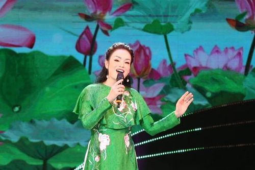 Lần hiếm hoi NSƯT Tân Nhàn và ca sĩ Anh Thơ đứng chung sân khấu