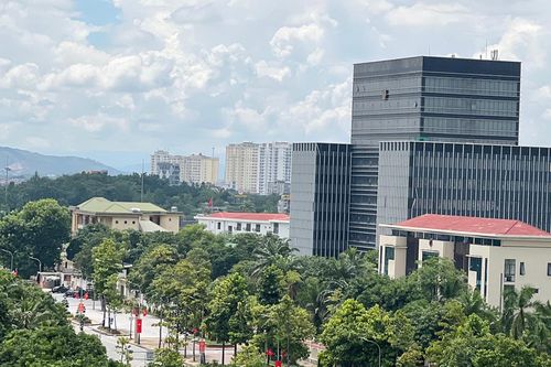 Nghệ An báo cáo Bộ Công an về 114 dự án cây xanh