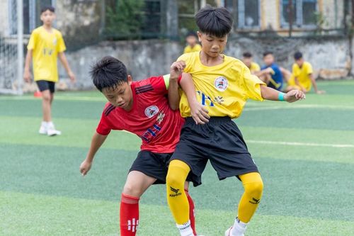 Hightlight Thiếu niên Thành phố Vinh - Thiếu niên Quỳ Châu: 4 - 1