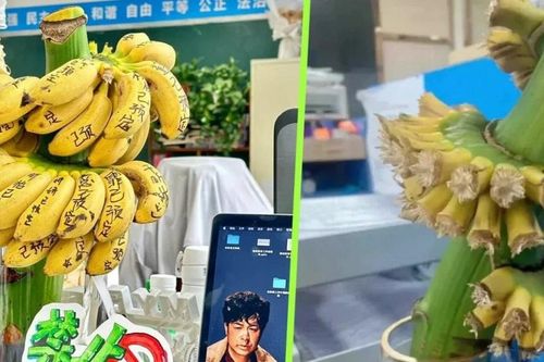 Cắm cả buồng chuối trên bàn làm việc để 'chữa lành'