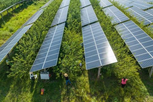 IEA dự báo đầu tư vào năng lượng sạch đạt 2.000 tỷ USD trong năm nay