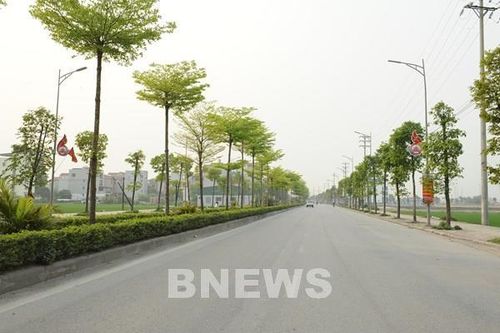 Không có dự án của Công ty TNHH Cây xanh Công Minh trên địa bàn Nghệ An
