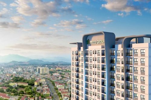 Dừng làm thủ tục hải quan đối với Tập đoàn Tecco