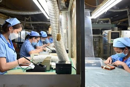 Nỗi đau 'ly hương' mỗi mùa hạn mặn