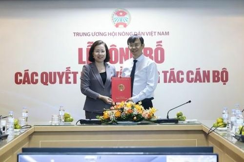 Bổ nhiệm Tổng biên tập Báo Nông thôn ngày nay/điện tử Dân Việt