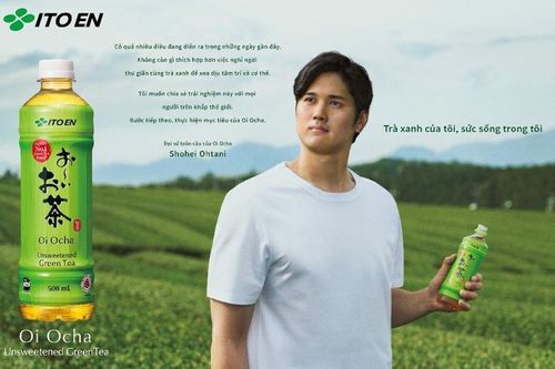 Văn hóa trà Nhật Bản vươn ra thế giới