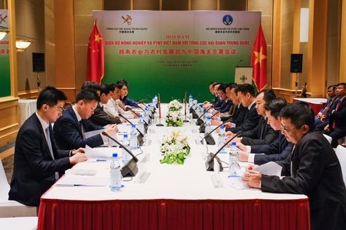 Xuất khẩu nông sản sang Trung Quốc tăng trưởng mạnh mẽ nhờ những Nghị định thư