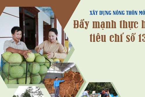 Đẩy mạnh thực hiện tiêu chí số 13
