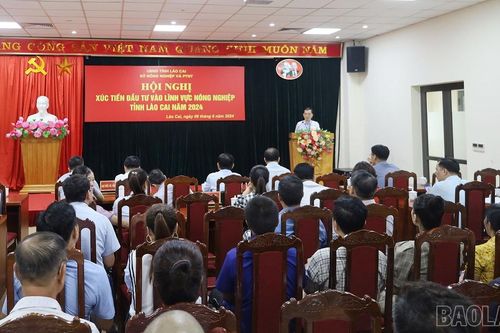 Đẩy mạnh xúc tiến đầu tư vào lĩnh vực nông nghiệp