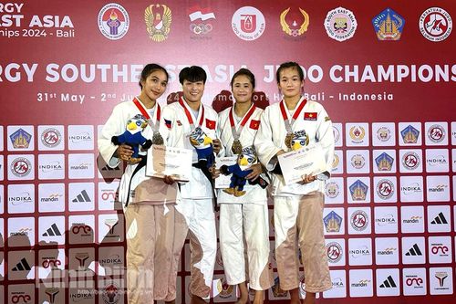 Judo Ninh Bình giành 3 huy chương tại Giải vô địch judo Đông Nam Á năm 2024