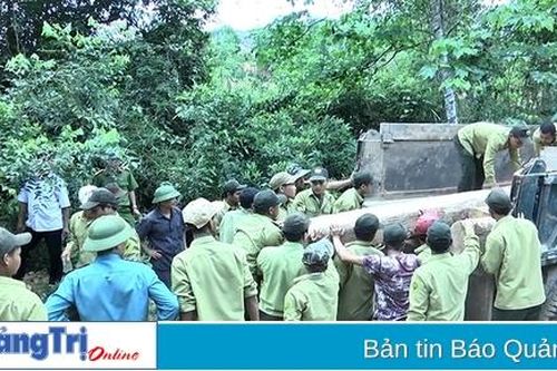 Vĩnh Linh phát huy hiệu quả công tác phối hợp trong quản lý, bảo vệ rừng