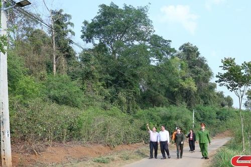 Rực sáng những tuyến đường