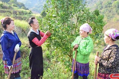 Phát huy vai trò 'Tuổi cao - Gương sáng'