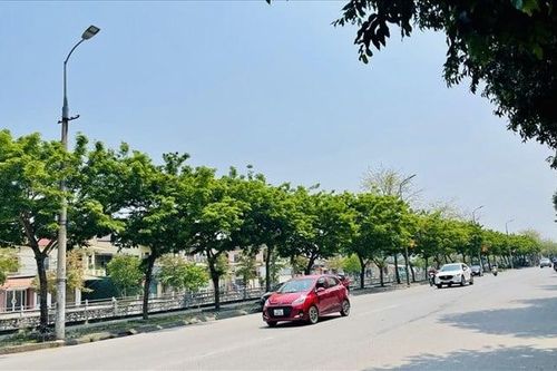 Nghệ An báo cáo Bộ Công an về dự án trồng cây xanh