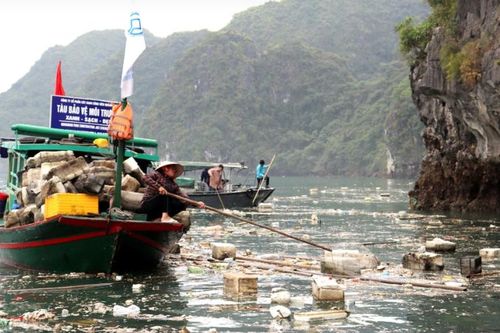 Quảng Ninh: Hưởng ứng Ngày Môi trường thế giới, Tháng hành động vì môi trường