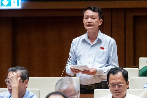 Đại biểu Quốc hội: 'Thủ tục hành chính vẫn là cỗ xe ì ạch'