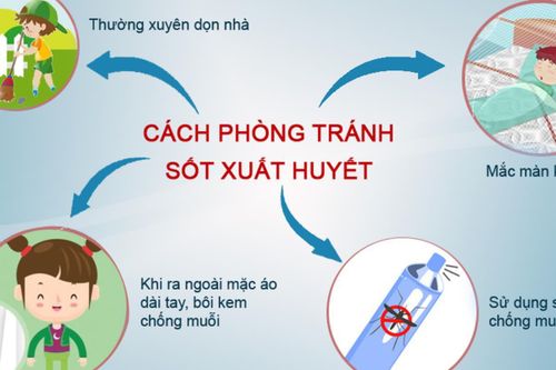 Sốt xuất huyết diễn biến phức tạp, Hà Nội triển khai các biện pháp phòng, chống