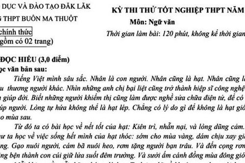 Đề thi thử Ngữ văn: Để không cho những khiếm khuyết tự bào mòn, hay những nỗi buồn tự hủy