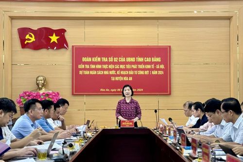 Phó Chủ tịch UBND tỉnh Nguyễn Bích Ngọc kiểm tra tình hình thực hiện các mục tiêu phát triển kinh tế - xã hội tại huyện Hòa An