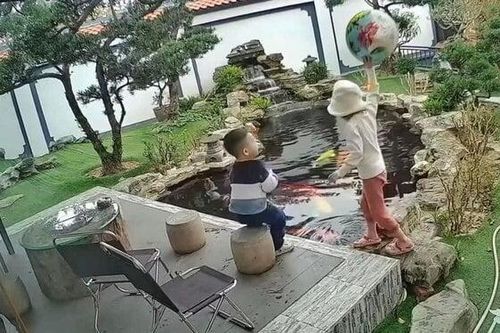 Bé gái nhanh trí cứu bé trai khỏi đuối nước ở hồ cá koi được dân mạng khen ngợi