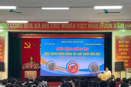Dự báo sốt xuất huyết diễn biến phức tạp