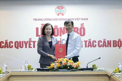 Bổ nhiệm ông Nguyễn Văn Hoài làm Tổng Biên tập Báo Nông thôn Ngày nay