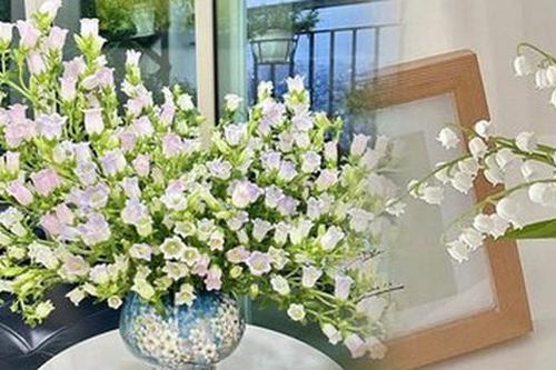 Loài hoa cắm bền nhất vào mùa hè, không sợ nóng mà còn chuộng tắm nước sôi