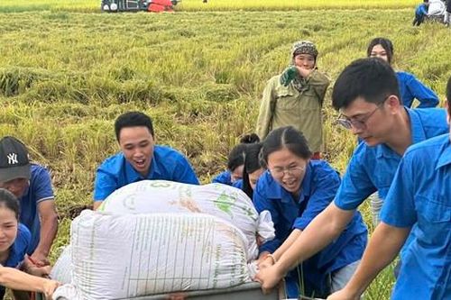 Tuổi trẻ Thái Bình, Hà Tĩnh hỗ trợ người dân để đảm bảo hành lang tuyến dự án 500kV mạch 3