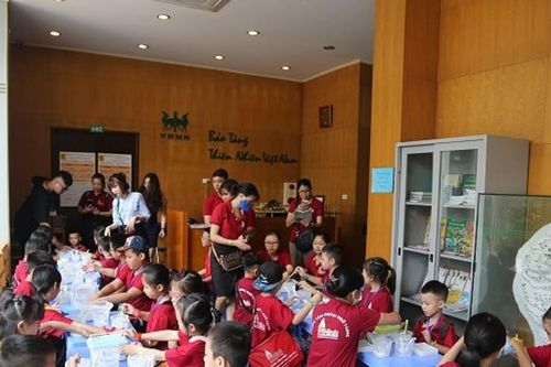 Trải nghiệm mùa hè ở bảo tàng