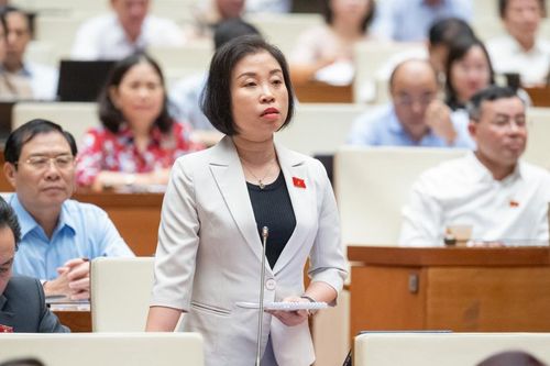 ĐB Quốc hội: đánh giá toàn diện thực trạng 'bức tranh' nợ xây dựng cơ bản