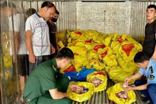 Lạng Sơn nỗ lực ngăn chặn thực phẩm 'bẩn' không rõ nguồn gốc