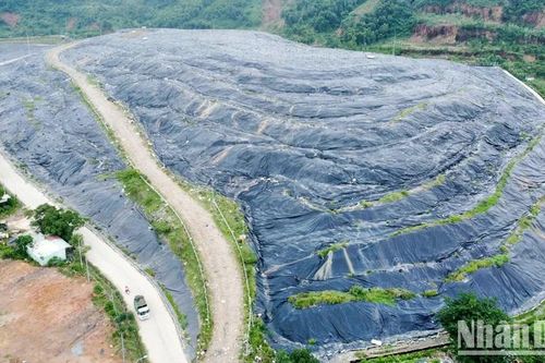 Đà Nẵng tìm giải pháp tuần hoàn xử lý bùn thải và rác thải cây xanh