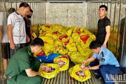 Lạng Sơn nỗ lực ngăn chặn thực phẩm 'bẩn' không rõ nguồn gốc