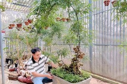 'Thổi hồn' vào những thân tre