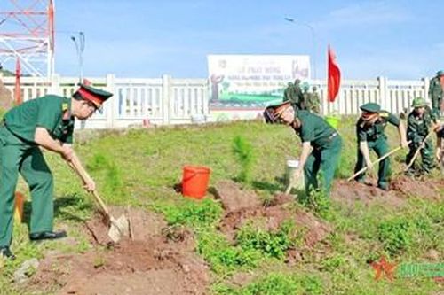 Binh đoàn 15: Dự kiến trồng 15 nghìn cây xanh trong năm 2024
