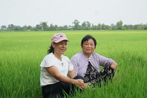 Chị Bảy Đông ở Đồng 41