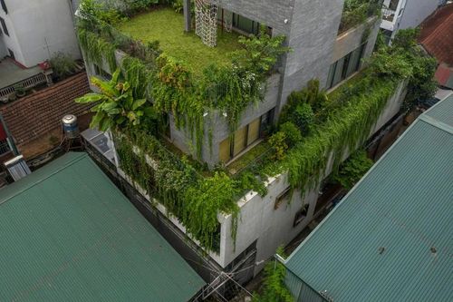 Chiêm ngưỡng nhà 4 tầng được bao bọc bởi rừng cây giữa Hà Nội