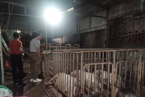 Loại bỏ mùi khó chịu từ khí biogas