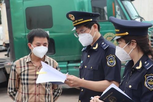 Ngành Hải quan xử lý gần 6.300 vụ vi phạm trong 5 tháng đầu năm