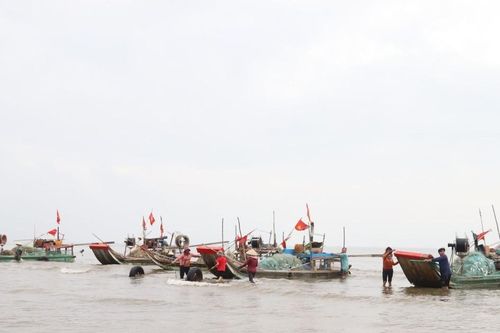 Ngư dân xứ Nghệ phấn khởi vào mùa khai thác ruốc biển