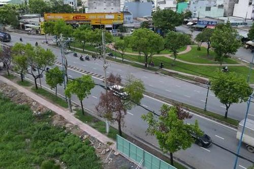 Nguyên nhân hàng loạt cây xanh chết khô ở TPHCM