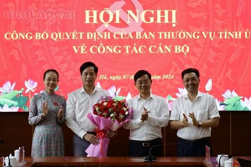 Công bố quyết định của Ban Thường vụ Tỉnh ủy Lào Cai về công tác cán bộ