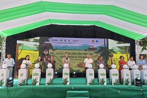 Triển lãm 'Vì sự sống bền vững cho thiên nhiên và con người' tại Huế