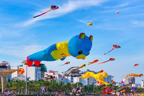 200 con diều có kích thước 'khủng' bay trên bầu trời Quy Nhơn
