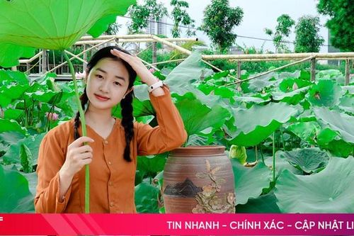 Thơm ngát mùa sen tháng 6 ở Hà Tĩnh