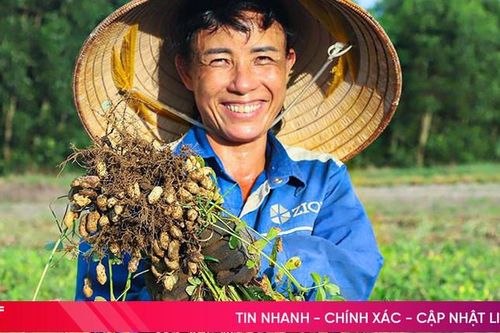 Vụ lạc xuân thắng lợi toàn diện tại Hà Tĩnh