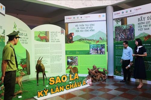 Triển lãm 'Vì sự sống bền vững cho thiên nhiên và con người'