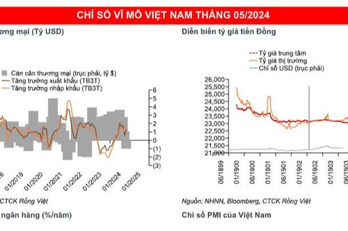 Thị trường chứng khoán đón chờ mùa 'quả ngọt' trong tháng 6